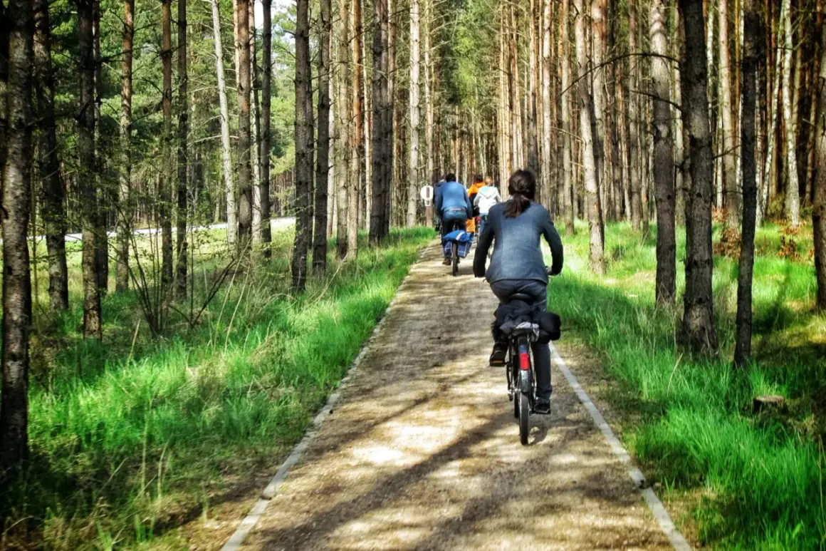 Grupa rowerzystów przemierza leśną ścieżkę, odkrywając malowniczą kaszubską marszrutę.