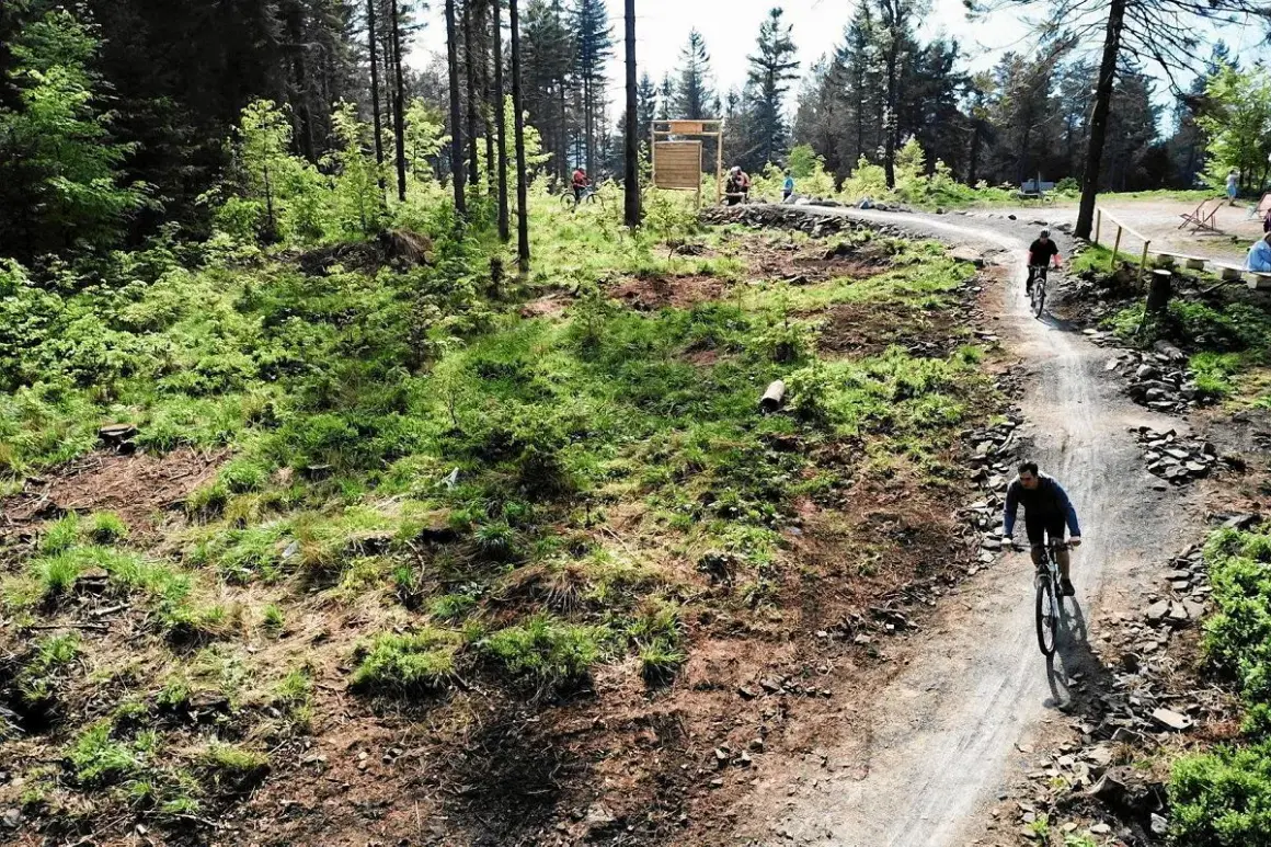 Rowerzyści pokonują kręte trasy rowerowe Bielsko w otoczeniu leśnej zieleni.