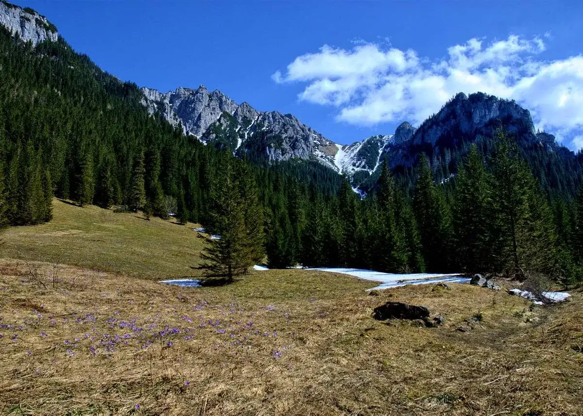 Kościelisko - Doliny, szlaki i atrakcje na każdą pogodę