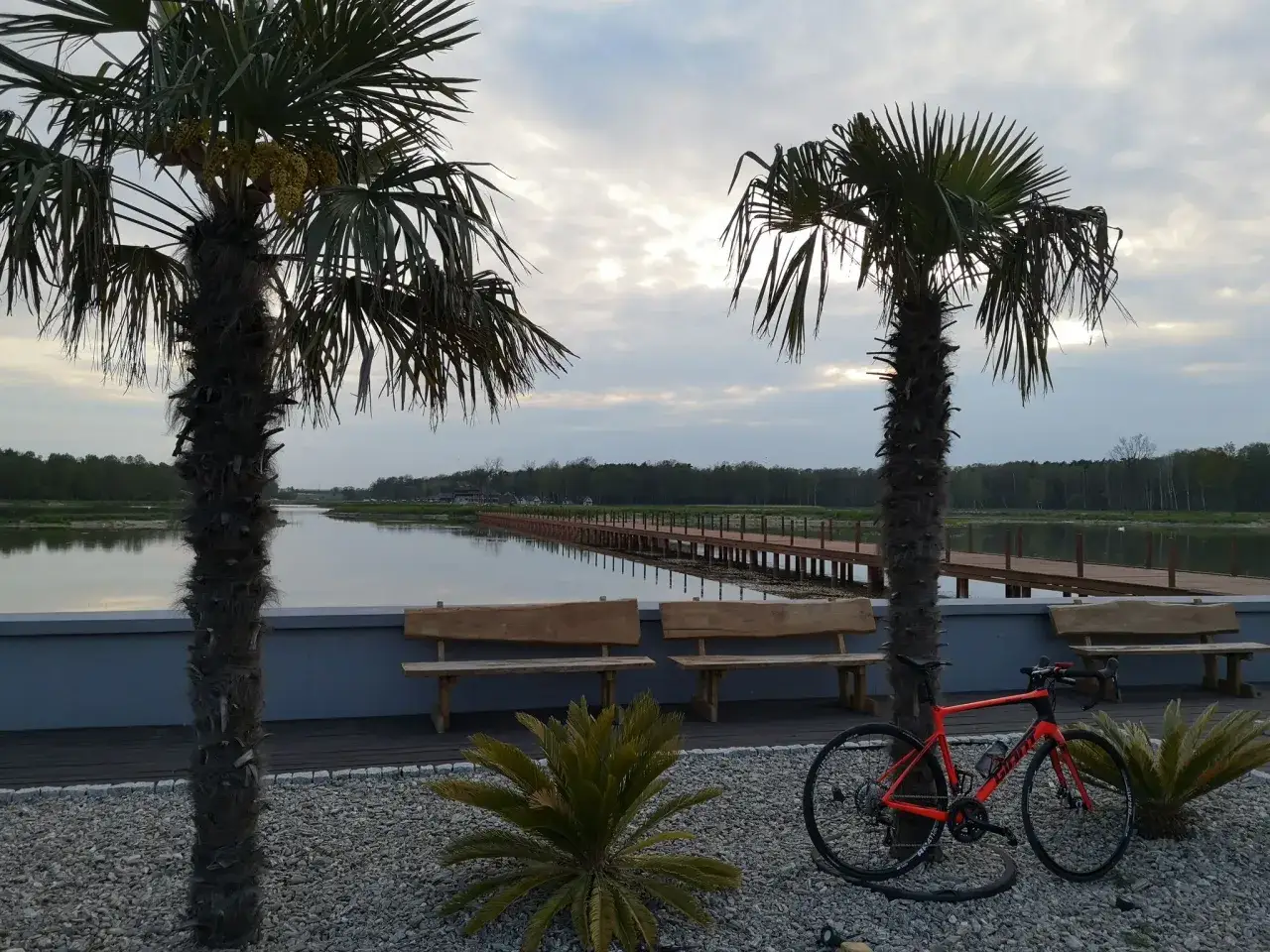 Pomarańczowy rower czeka na odkrycie tras rowerowych Łódź. Palmy i drewniane ławki nad spokojną wodą tworzą egzotyczny klimat.