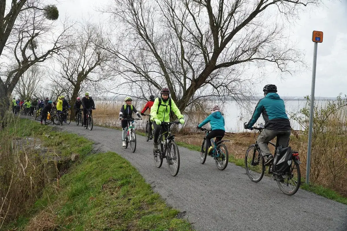 Grupa rowerzystów przemierza malownicze trasy rowerowe nad jeziorem.