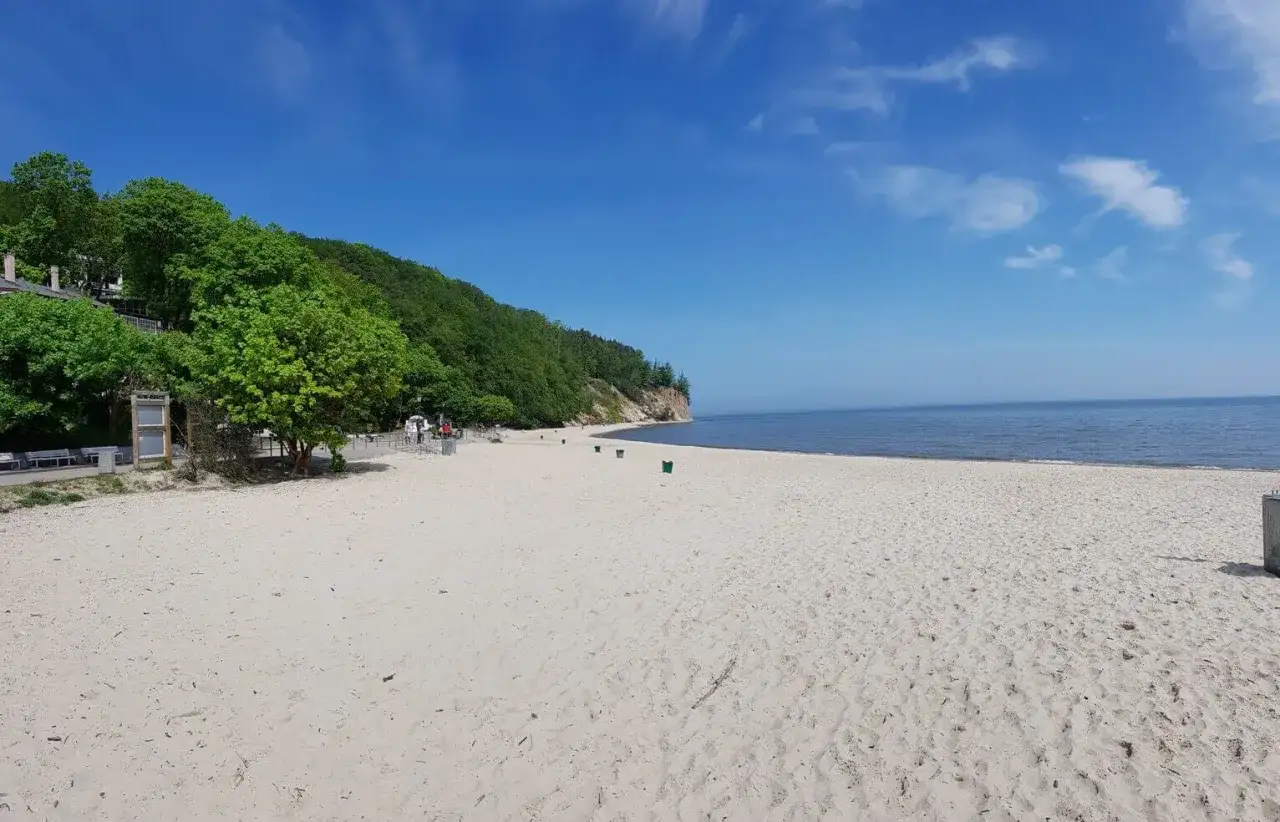 Plaża w Gdyni zachęca do spacerów. Warto zobaczyć klif i zielone drzewa nad piaskiem.
