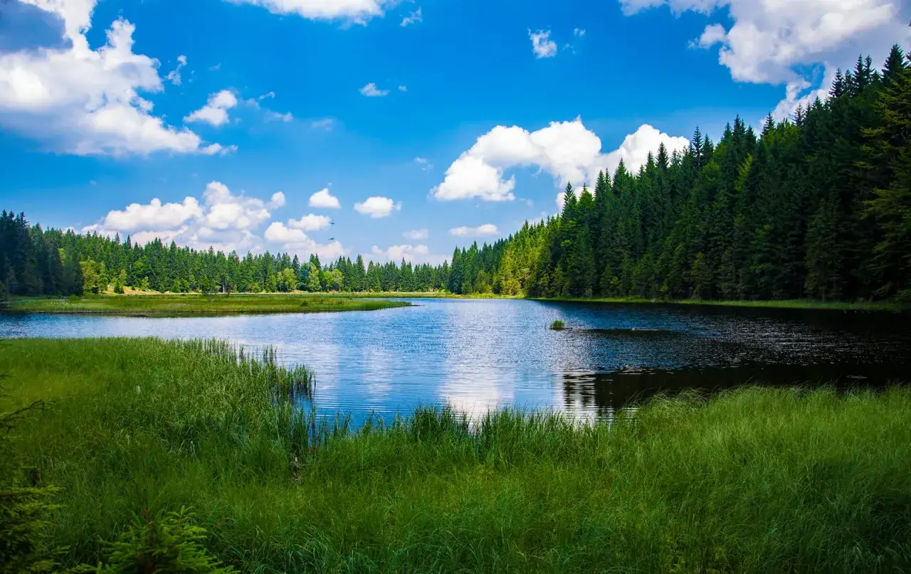 Spokojne jezioro otoczone lasem, odbijające błękitne niebo z chmurami. Odkryj magiczne miejsca kujawsko-pomorskie w tej sielskiej scenerii.