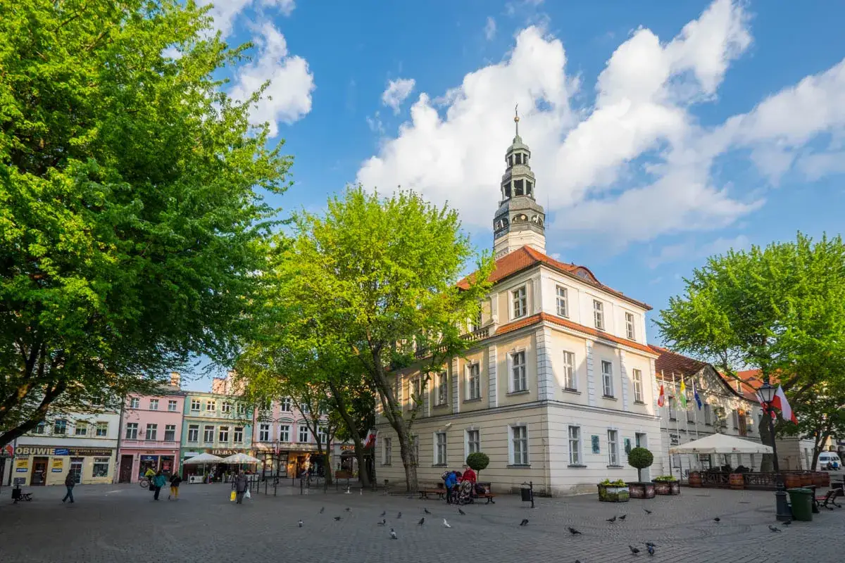 Rynek w Zielonej Górze, z ratuszem i kolorowymi kamieniczkami, zaprasza do odkrywania miejskich atrakcji.