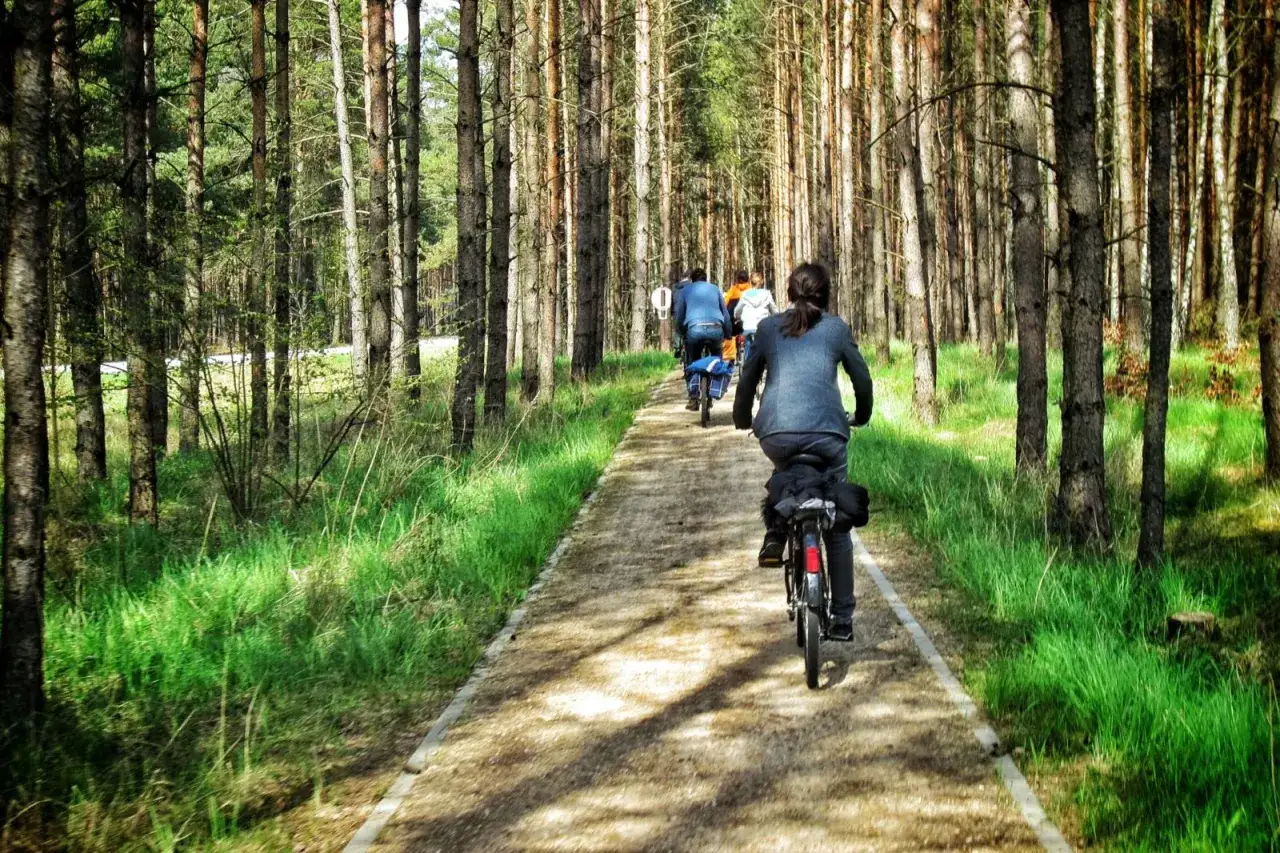Grupa rowerzystów przemierza leśną ścieżkę, odkrywając urok kaszubskiej marszruty.