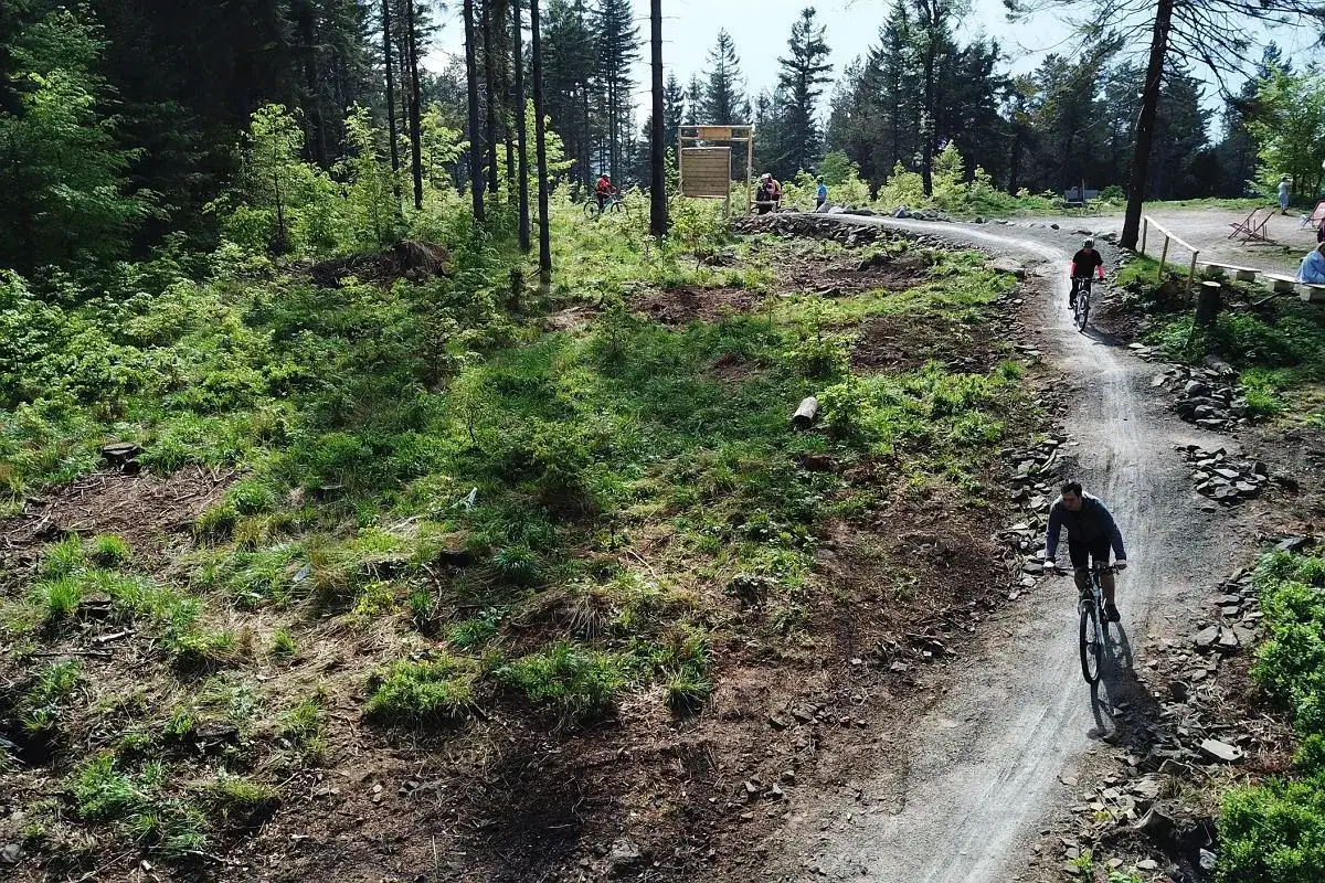 Rowerzyści pokonują kręte ścieżki leśne. Wspaniałe enduro trails Bielsko zapraszają do aktywnego wypoczynku na łonie natury.