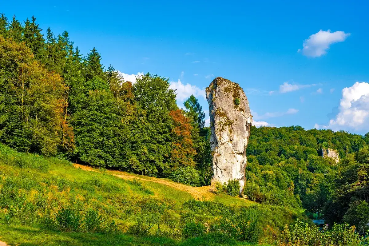 Wysoka wapienna skała góruje nad zielonymi wzgórzami w parku krajobrazowym Orlich Gniazd. Las otacza malowniczy krajobraz.