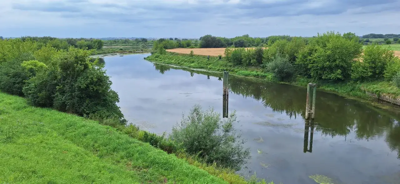 Malownicza trasa Wisła 1200 z zielonymi brzegami, polami i spokojną wodą.