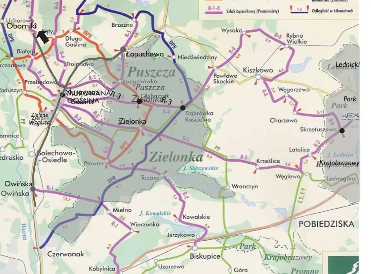 Puszcza Zielonka: trasy rowerowe R-1, R-2, R-3, R-4, R-5, R-6, R-7, R-8, MPR, DPR, PP. Mapa z zaznaczonymi miejscowościami i odległościami.