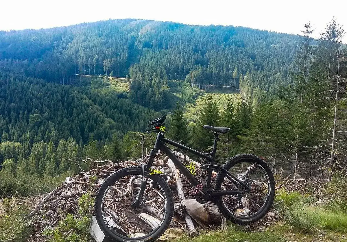 Czarny rower enduro, idealny na początek przygody z górskimi trasami, odpoczywa na stosie drewna. W tle rozciąga się gęsty, zielony las.
