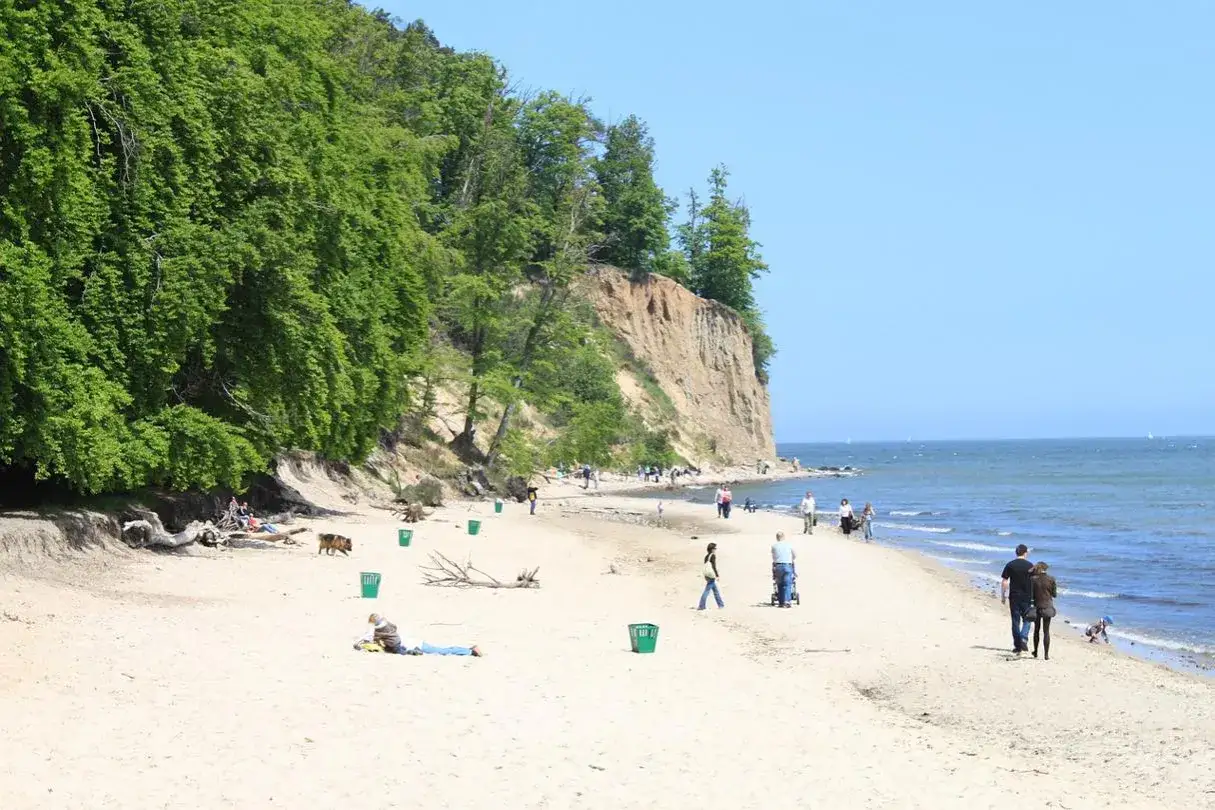 Plaża w Gdyni zachwyca klifem i zielenią. Spacerowicze cieszą się słońcem, idealne miejsce, by zobaczyć Gdynię.
