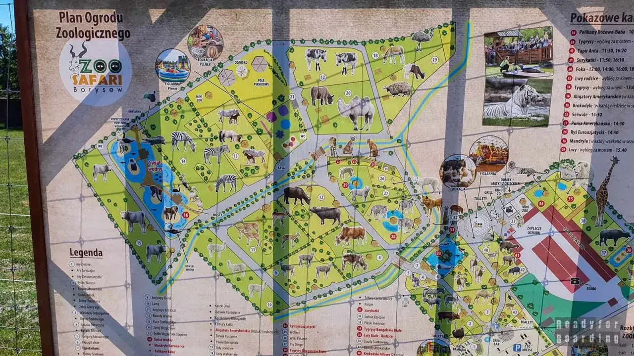 Mapa zoo Borysew z zaznaczonymi zwierzętami i atrakcjami. Zaplanuj swoją trasę!