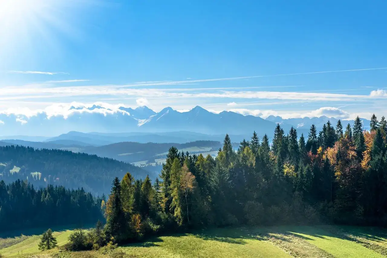 Widok na Tatry z lasem i polami. Idealne miejsce na odkrywanie zakopane atrakcje.