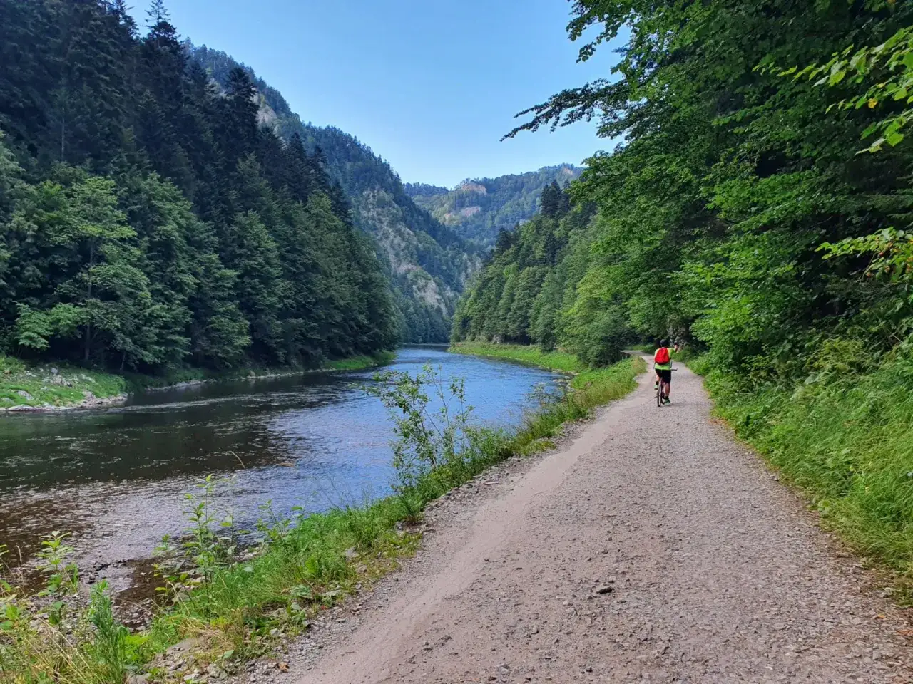 Rowerzysta przemierza malowniczą trasę velo dunajec, otoczoną zielonymi lasami i spokojną rzeką.