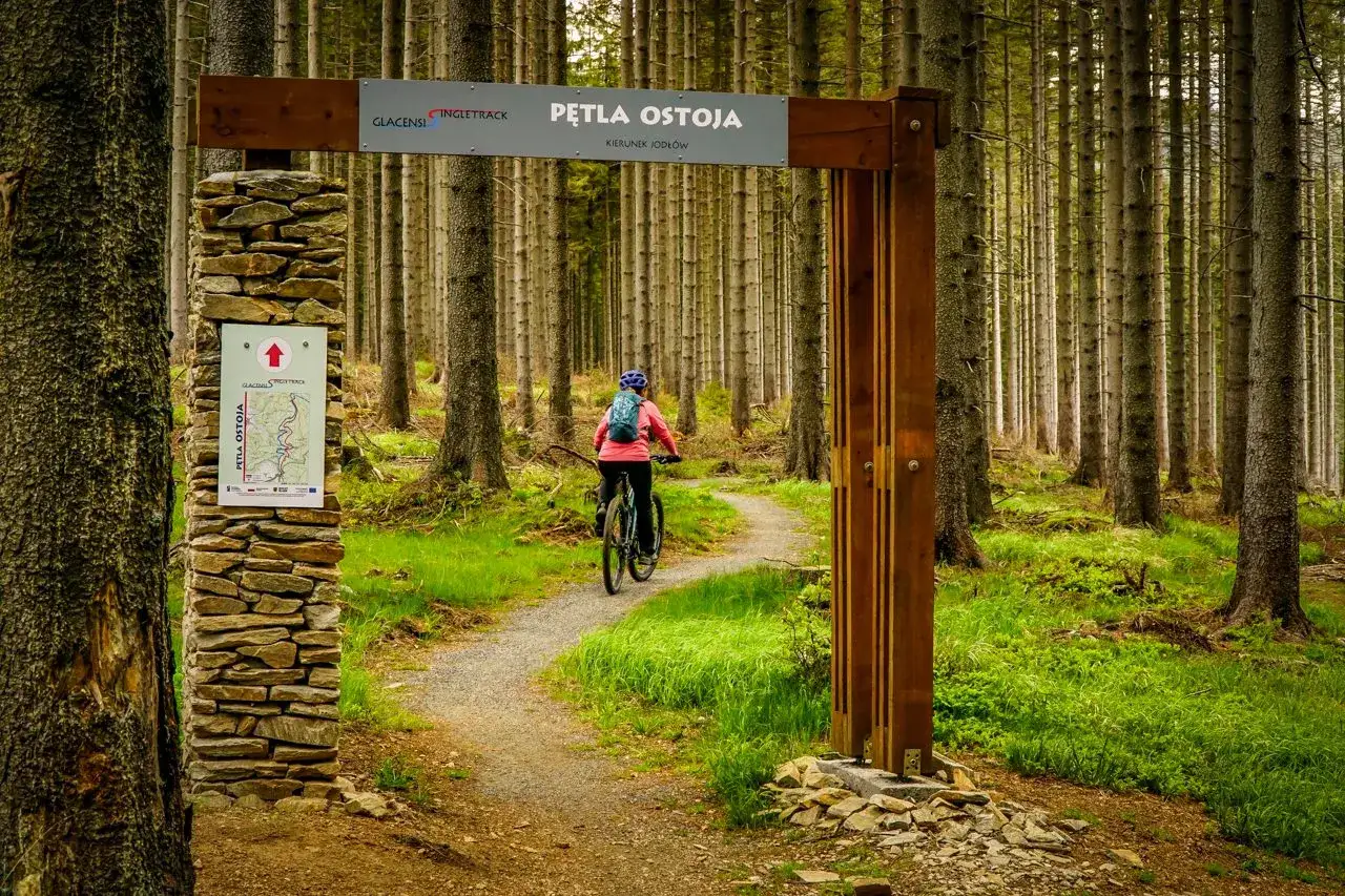 Rowerzystka na single track glacensis w lesie. Tablica informacyjna