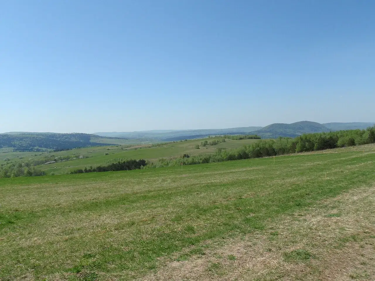 Zielone wzgórza i lasy rozciągają się aż po horyzont. Idealne miejsce na przymiarki punkt widokowy.