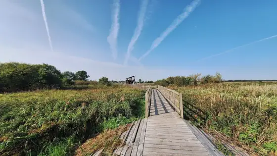 Podlasie atrakcje bez pośpiechu - co warto zobaczyć